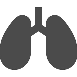 肺のアイコン素材 1 アイコン素材ダウンロードサイト Icooon Mono 商用利用可能なアイコン素材が無料 フリー ダウンロードできるサイト