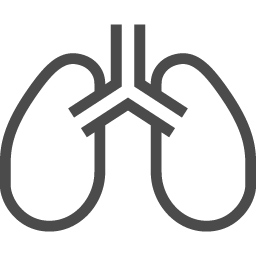 肺のアイコン素材 2 アイコン素材ダウンロードサイト Icooon Mono 商用利用可能なアイコン 素材が無料 フリー ダウンロードできるサイト